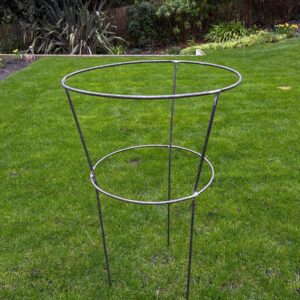 Garden plant support