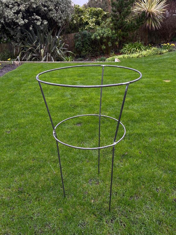 Garden plant support