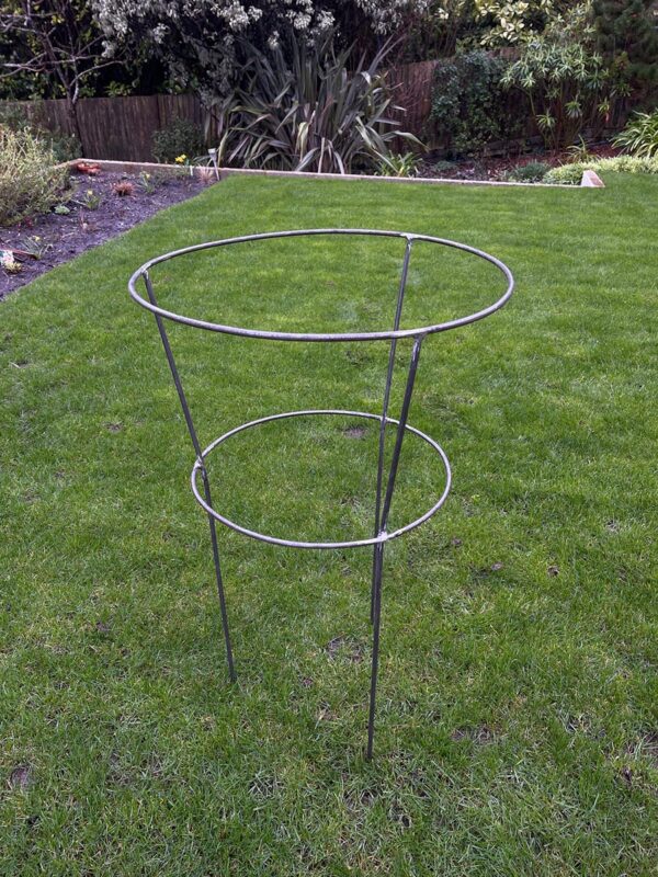 Peony plant support