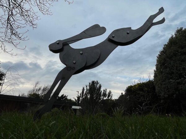 1 hare sky b