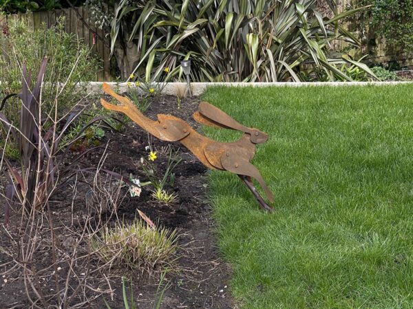 rust hare border a