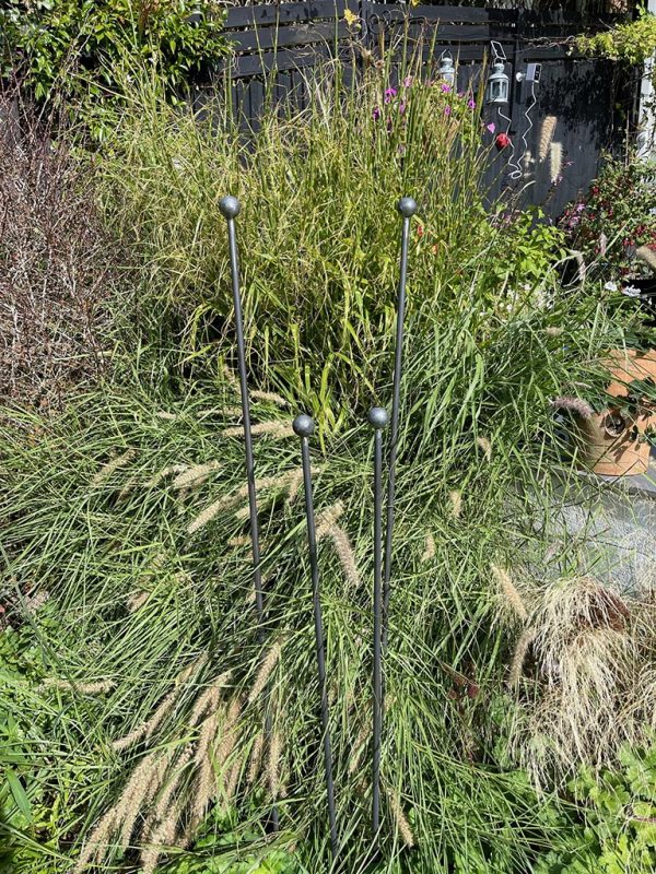 Large Garden plant stakes 04
