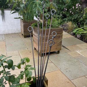 Twisted loop plant supports