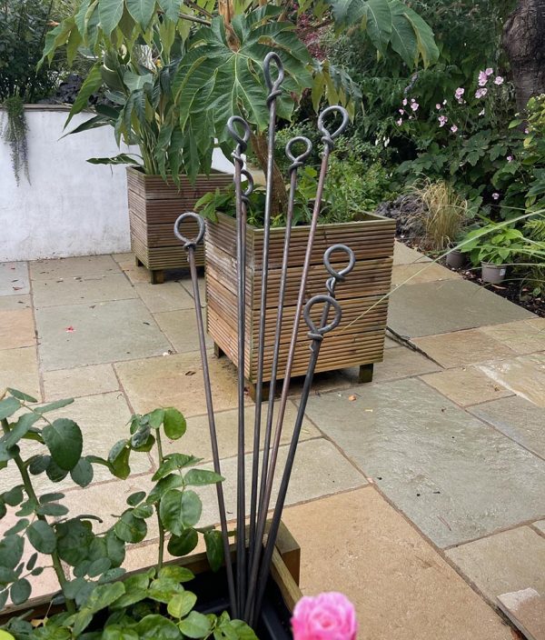 Twisted loop plant supports