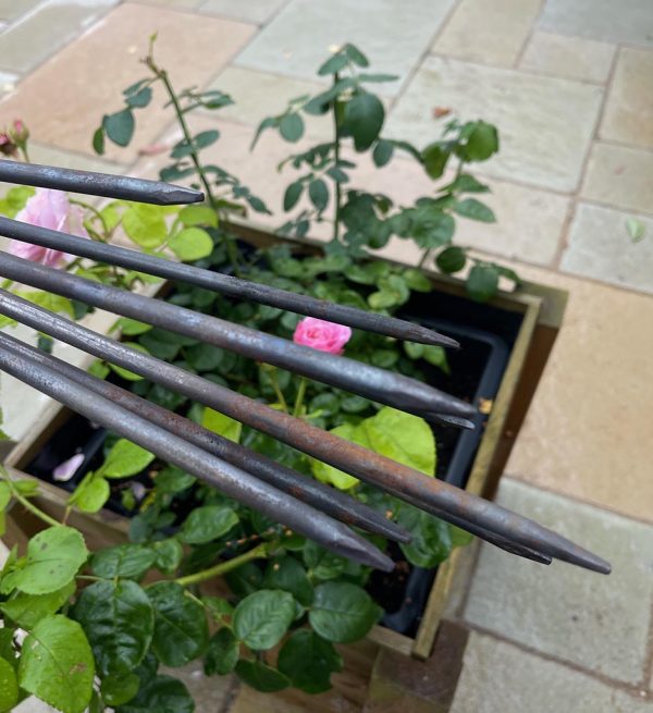 Twisted loop plant supports